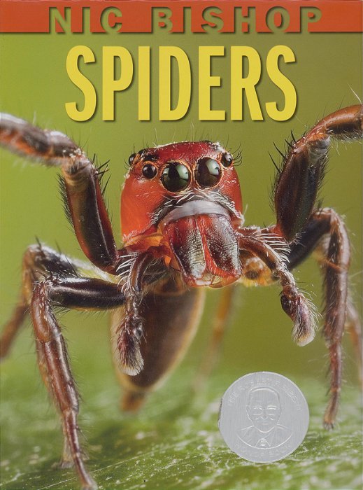 Nic Bishop Spiders