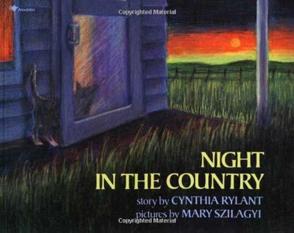 Night In The Country