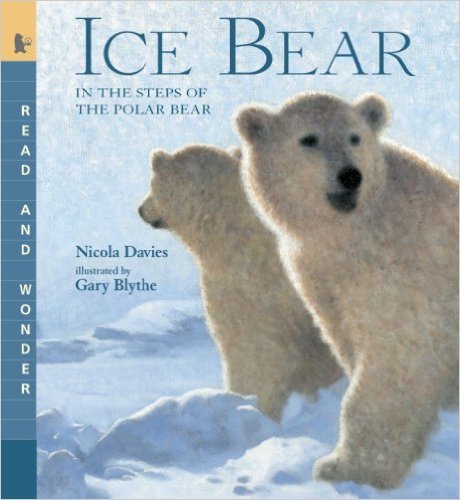 Ice Bear - In The Steps Of The Polar Bear-..