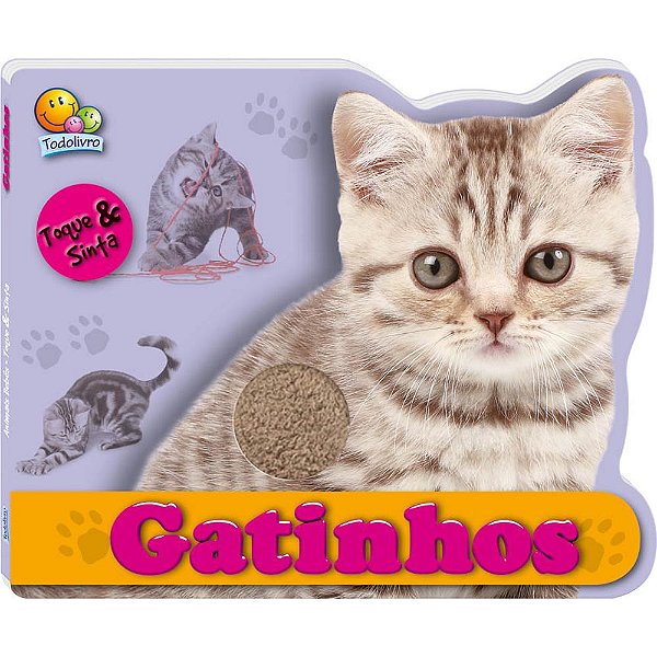 Gatinhos - Toque & Sinta