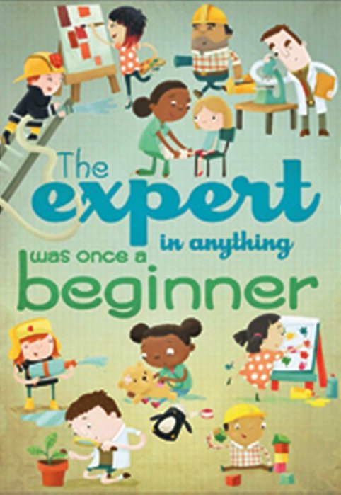The Expert In Anything - Pop! Chart