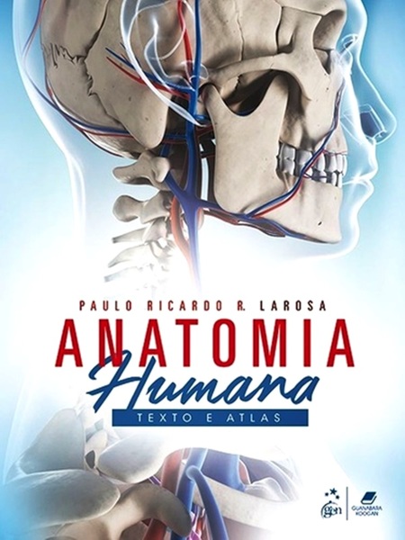 Anatomia Humana