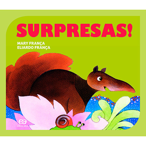 Surpresas! - Coleção Gato E Rato