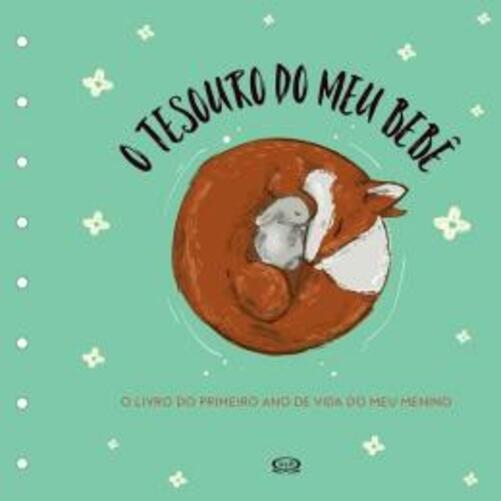 Tesouro Do Meu Bebe - O Livro De Recordacoes