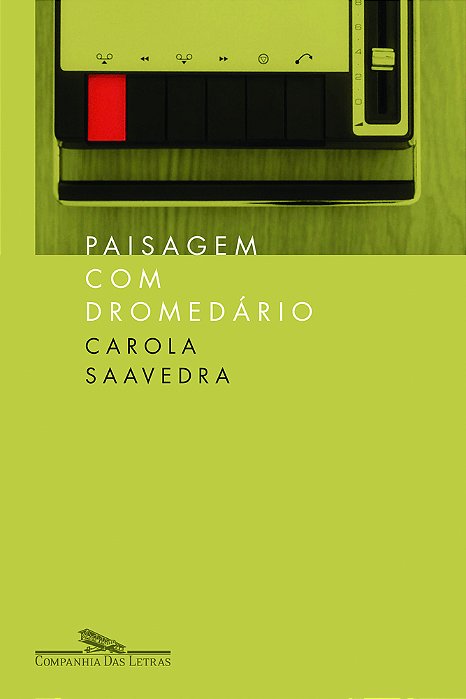 Paisagem Com Dromedário