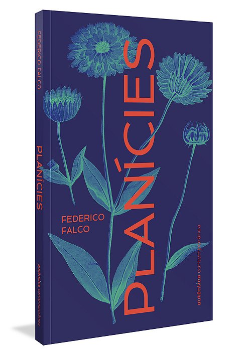 Planicies