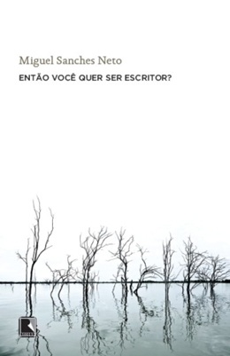 Então Você Quer Ser Escritor?