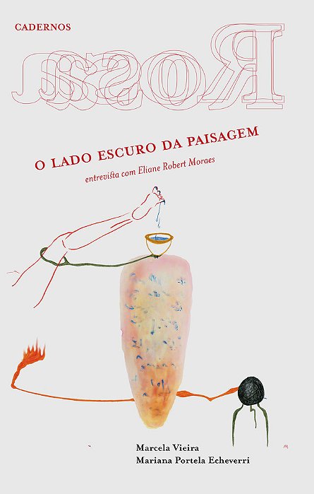 Cadernos Rosa — O Lado Escuro Da Paisagem