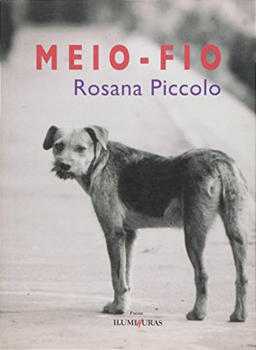 Meio-Fio