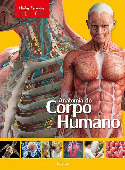 Minha Primeira Enciclopédia - Anatomia Do Corpo Humano