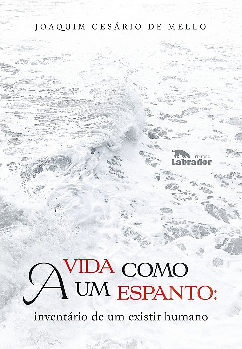 A Vida Como Um Espanto Inventário De Um Existir Humano