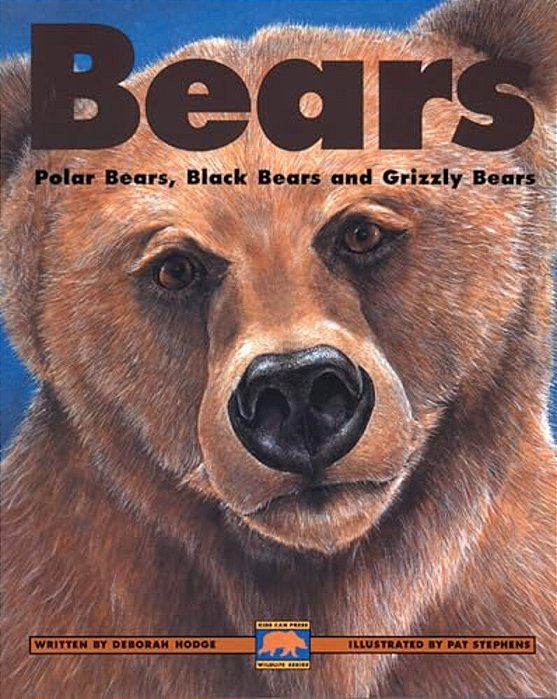 Bears-..