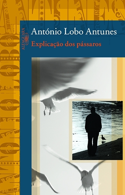 Explicação Dos Pássaros