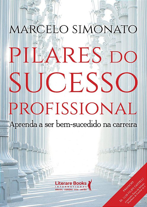 Pilares Do Sucesso Profissional
