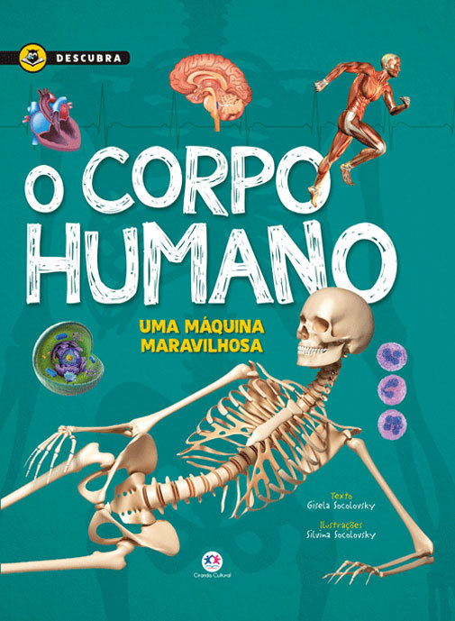 O Corpo Humano
