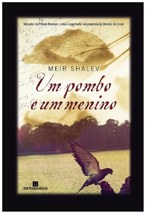 Um Pombo E Um Menino