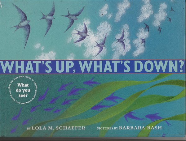 What's Up, What's Down?