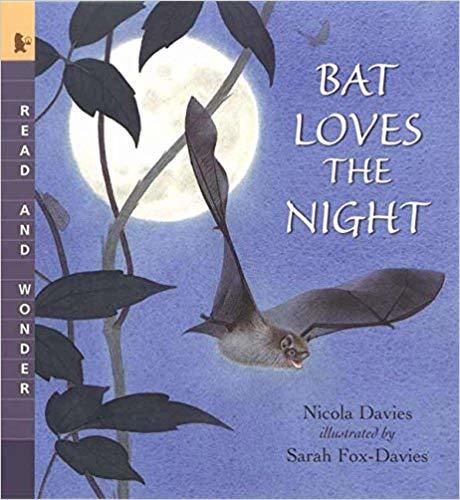 Bat Loves The Night - Read And Wonder