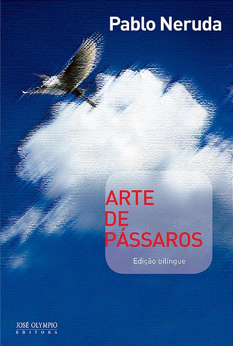 Arte De Pássaros