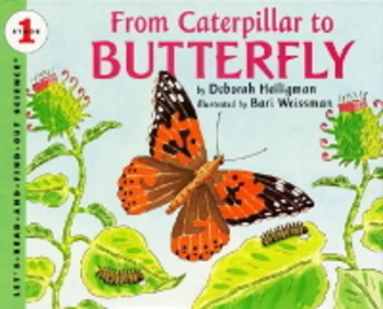 From Caterpillar To Butterfly - Paperback