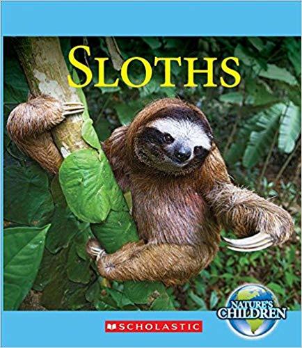 Sloths - Nature's Children-..