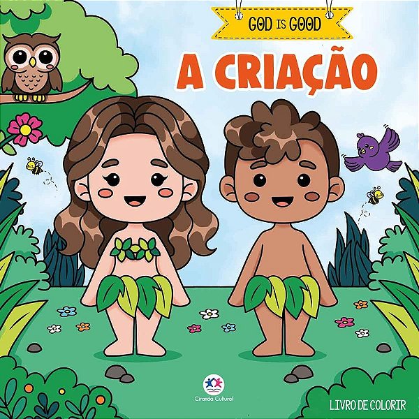 A Criação - Livro De Colorir