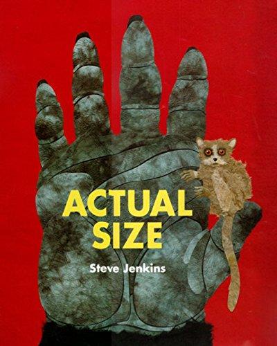 Actual Size-..