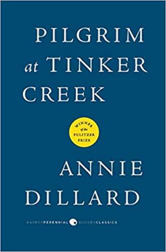 Pilgrim At Tinker Creek..-