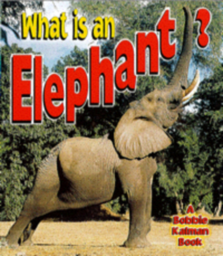 What Is An Elephant?-..