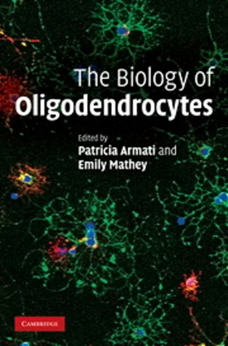 The Biology Of Oligodendrocytes-..