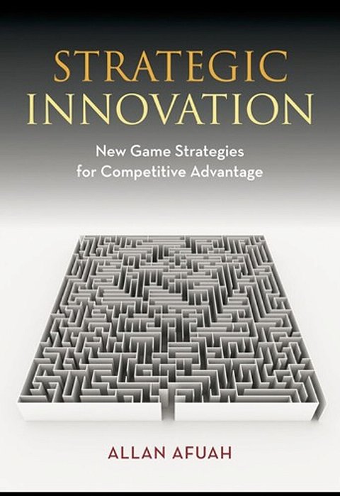 Strategic Innovation: New Game Strategies For Competitive Advantage-..