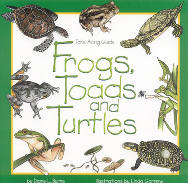 Frogs, Toads And Turtles-..