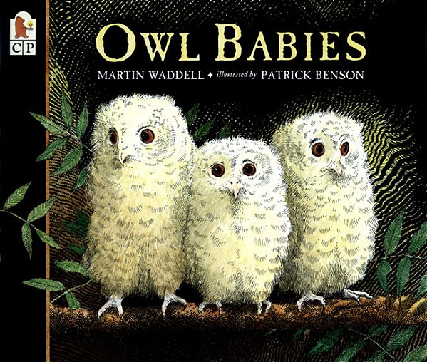 Owl Babies..-