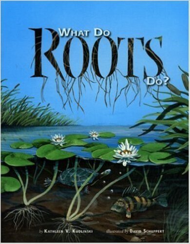 What Do Roots Do?-..