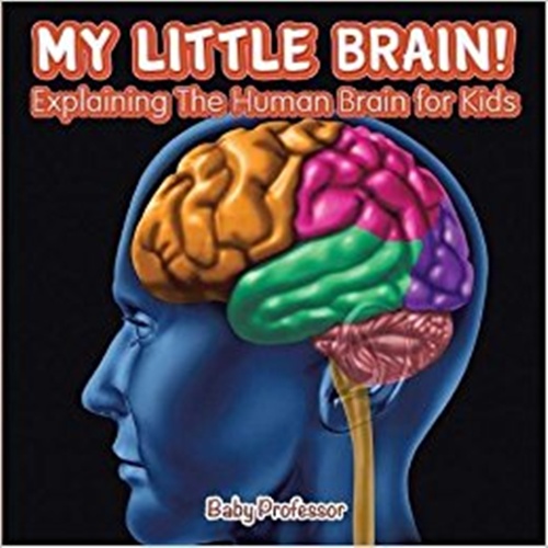 My Little Brain! - Explaining The Human Brain For Kids-..