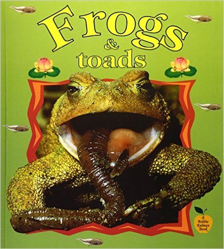 Frogs And Toads-..