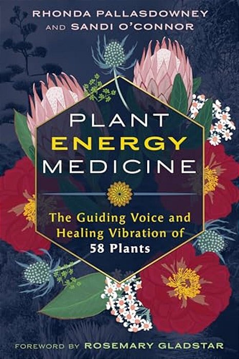 Plant Energy Medicine: The Guiding Voice And Healing Vibration Of 58 Plants-..