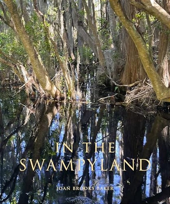 In The Swampyland-..