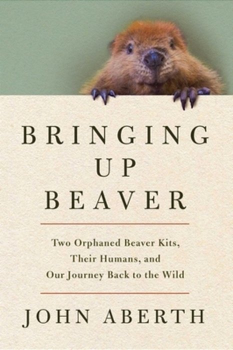 Bringing Up Beaver: Two Orphaned Beaver Kits, Their Humans, And Our Journey Back To The Wild-..