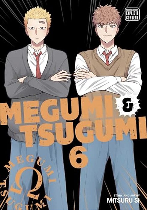 Megumi & Tsugumi, Vol. 6-..