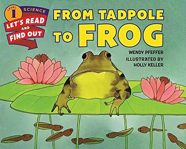 From Tadpole To Frog-..