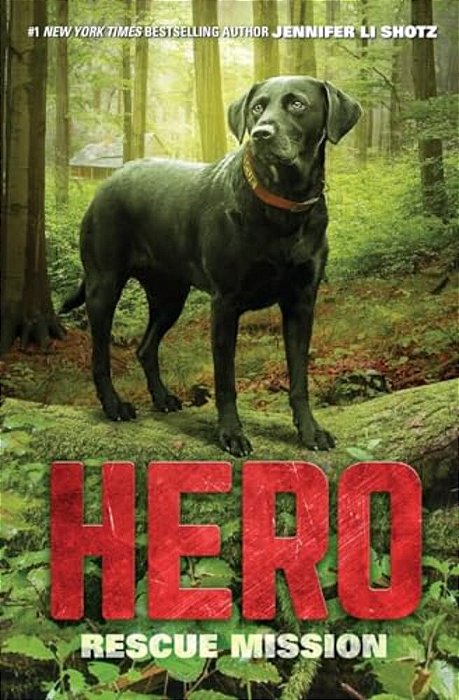 Hero: Rescue Mission-..