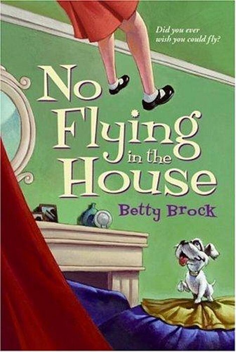 No Flying In The House-..