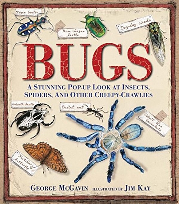 Bugs: A Stunning Pop-Up Look At Insects, Spiders, And Other Creepy-Crawlies-..