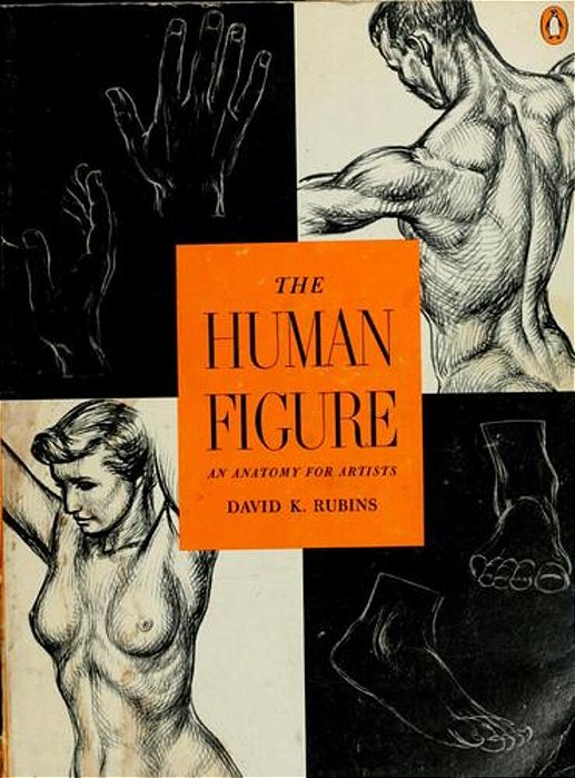 The Human Figure: An Anatomy For Artists-..