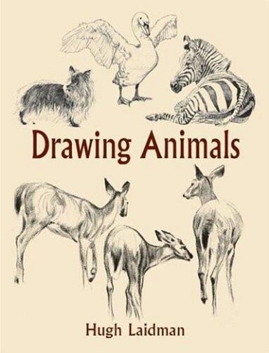Drawing Animals-..