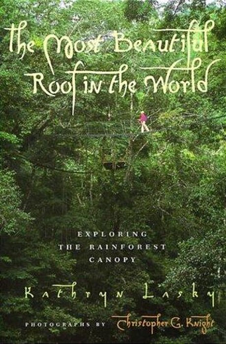 The Most Beautiful Roof In The World: Exploring The Rainforest Canopy-..
