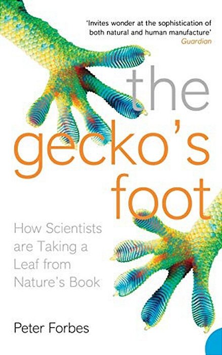 The Gecko's Foot: How Scientists Are Taking A Leaf From Nature's Book-..
