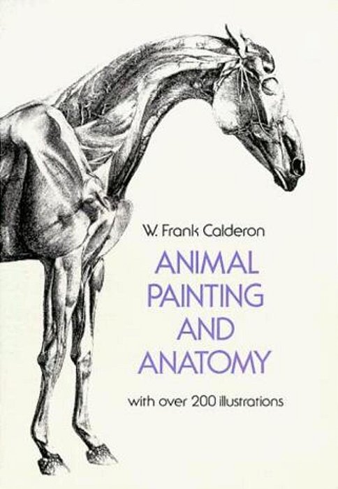 Animal Painting And Anatomy-..