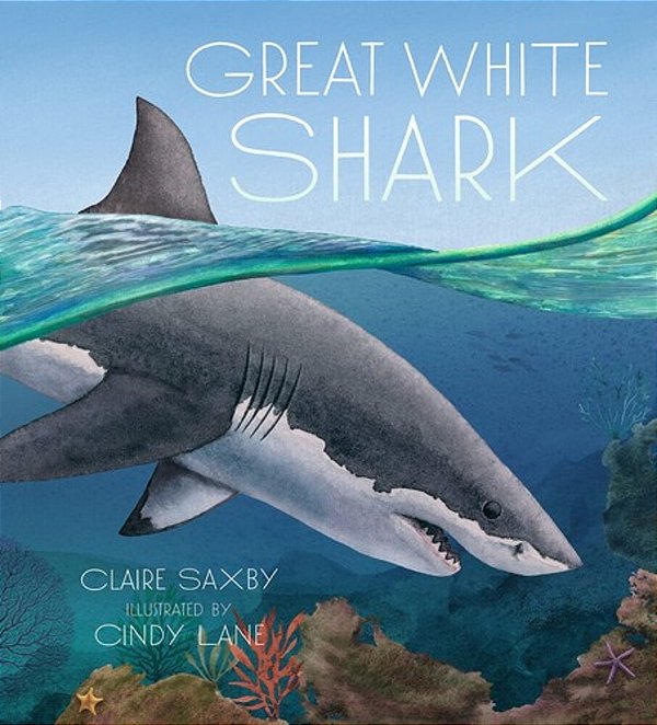 Great White Shark-..